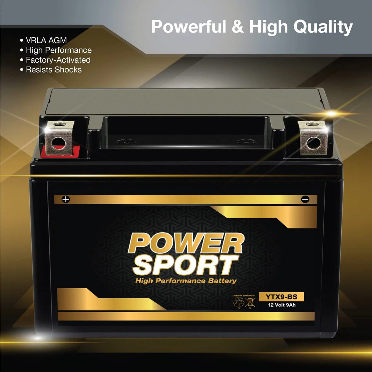 12v 9ah Replacement Motorcycle Battery T854651