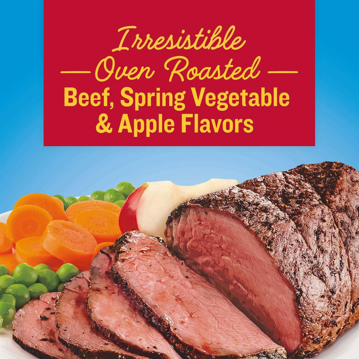 Beef Dog Food B797579