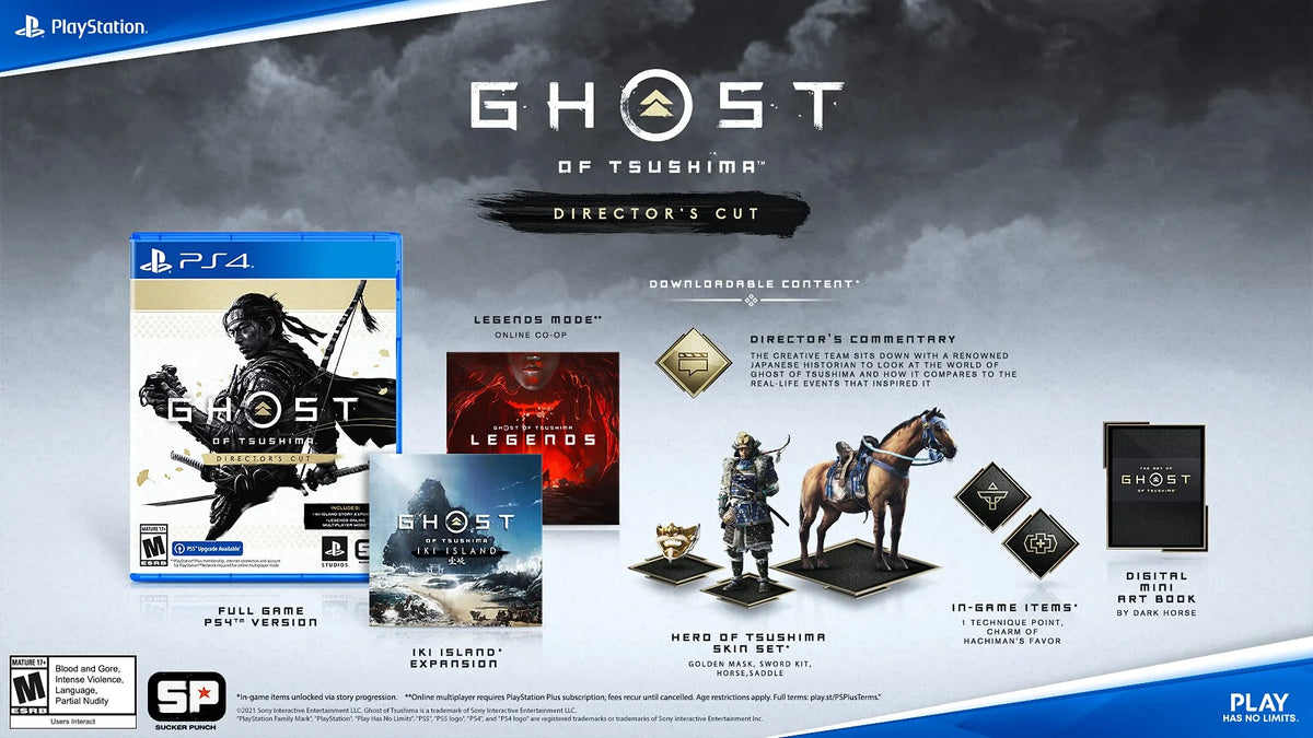 PlayStation 4 Director's Cut G1875