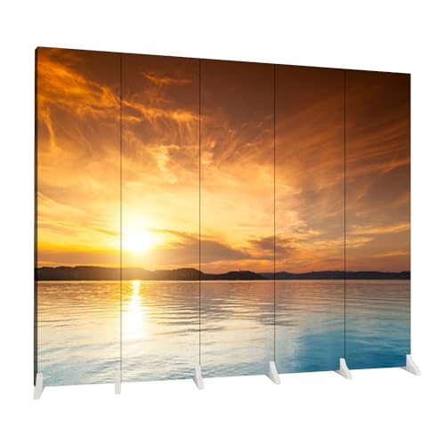 5 Panel Folding Screen Room Divider O57107