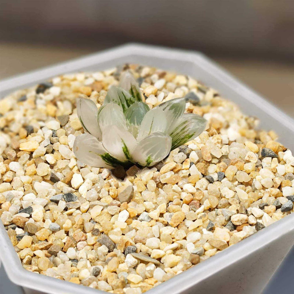 Coarse Sand Stone Silica Sand for Plants Soil Cover F564730