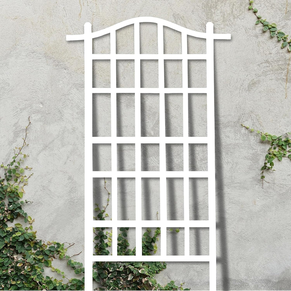 White 35 x 75 Inch Garden Trellis L304688