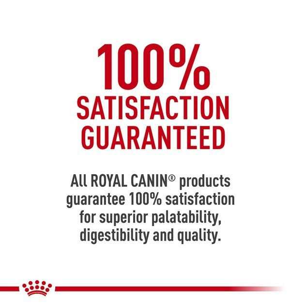 Maine Coon Dry Cat Food M4023