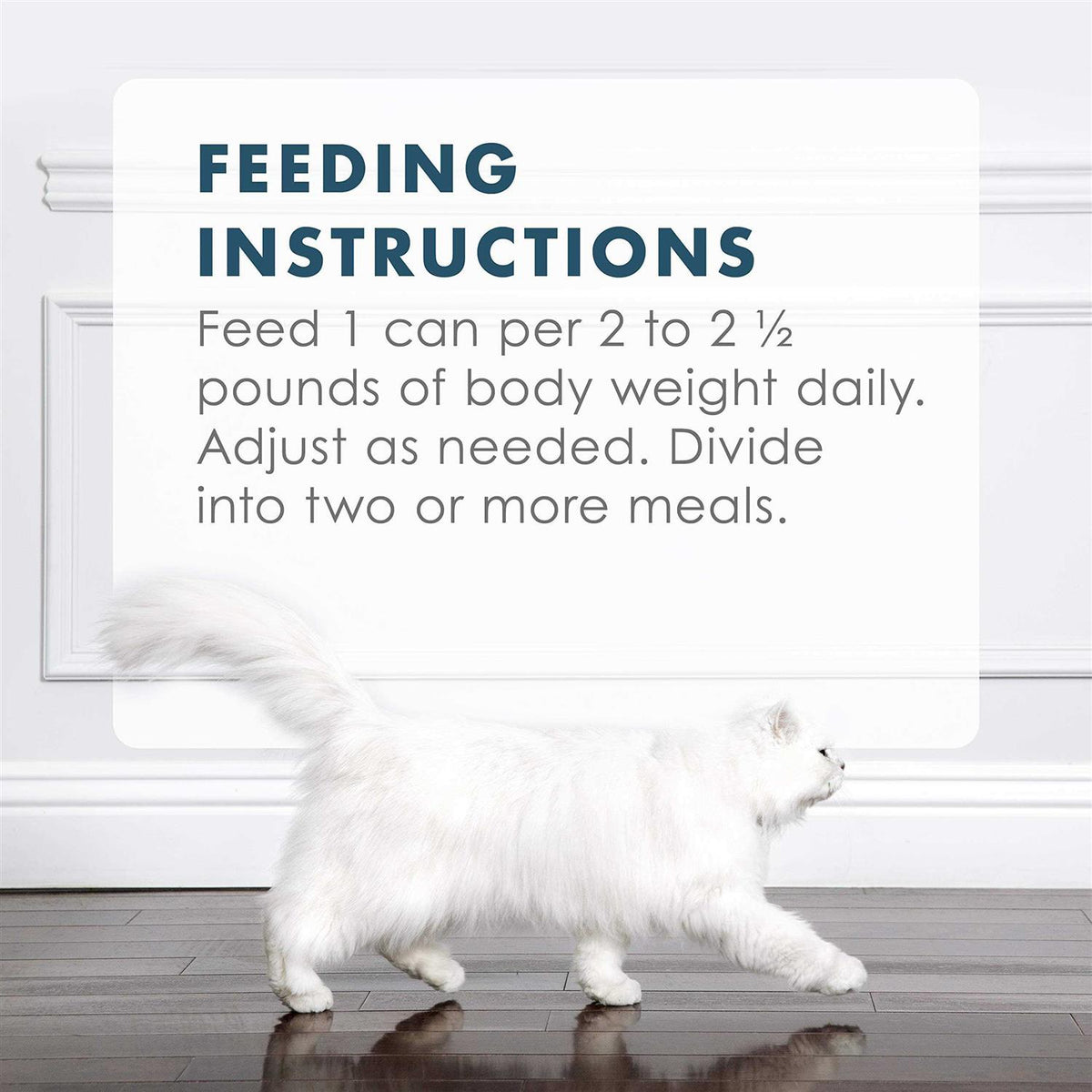 Tuna Recipe in Gravy Wet Cat Food E700