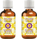 Pure Catnip Essential Oil Steam Distilled 100ml X 2 X3890