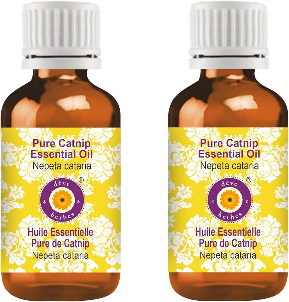 Pure Catnip Essential Oil Steam Distilled 100ml X 2 X3890