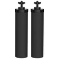 Water Filter Replacement Pack of 2 V84588