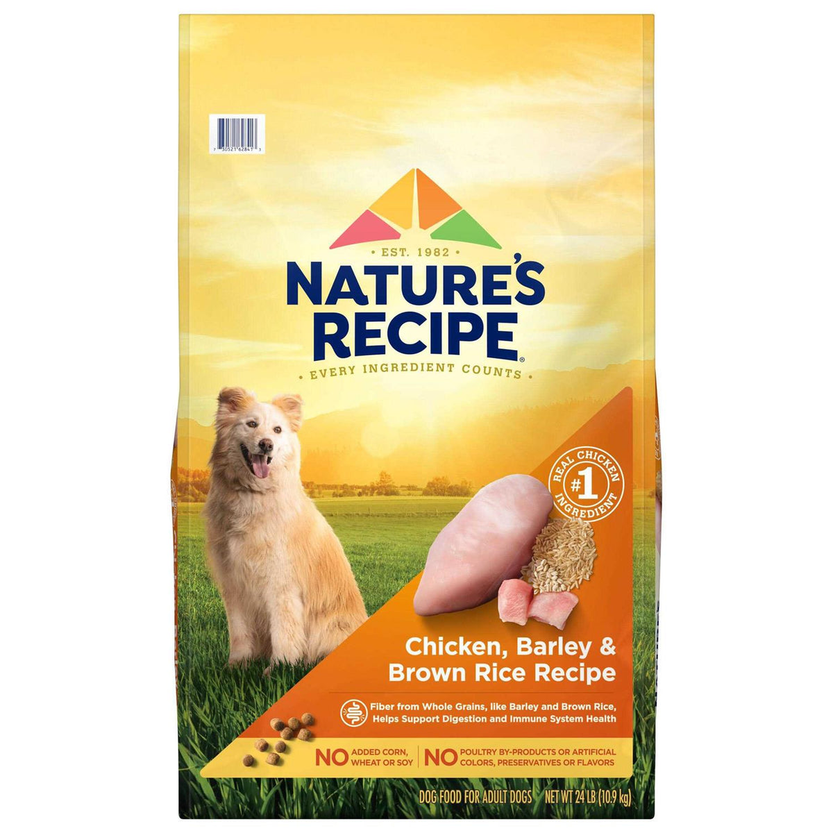 Chicken & Rice Dry Dog Food X194386