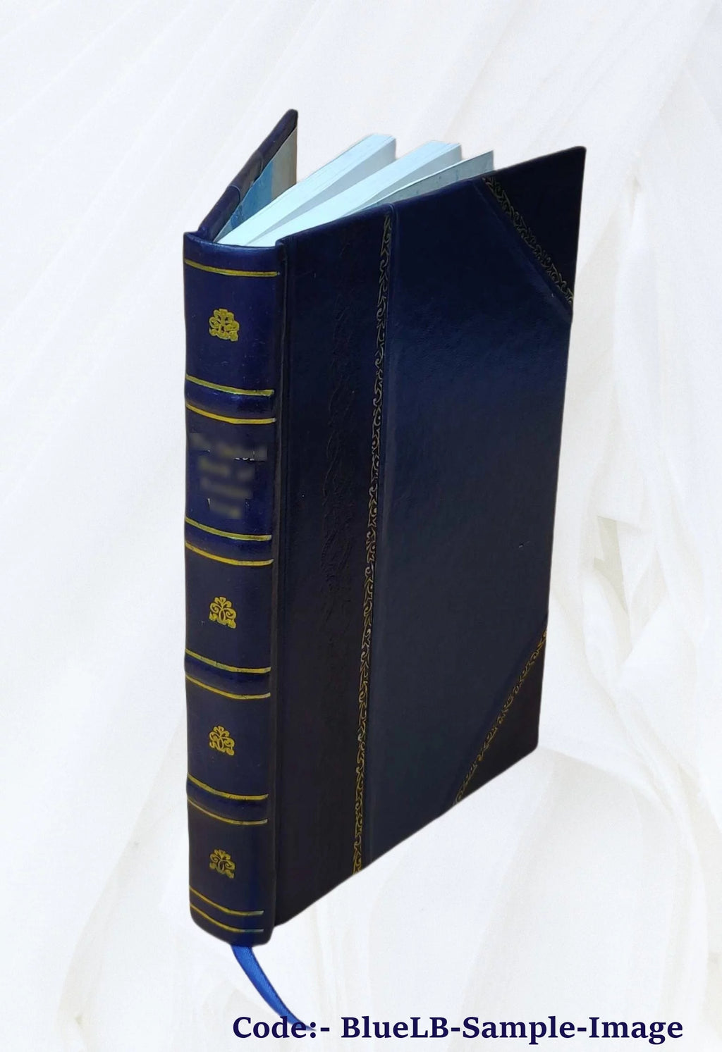Evangelie in het licht van oude gegevens Leather Bound B92331