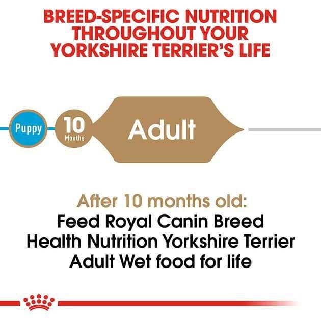 Adult Loaf In Sauce Dog Food O11357