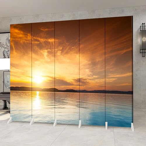 5 Panel Folding Screen Room Divider O57107