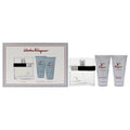 3 Pc Gift Set EDT Spray, Shower Gel, After Shave Balm V689