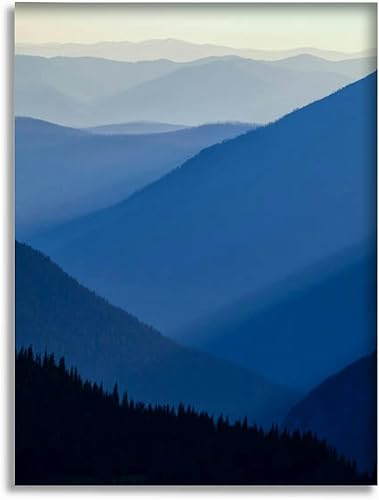 16"x20" Framed Canvas Wall Art C633420