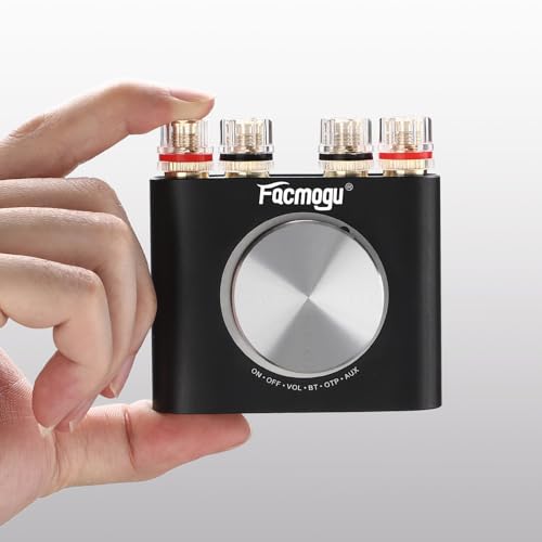 160W Mini Bluetooth 5.0 Power Amplifier M821017