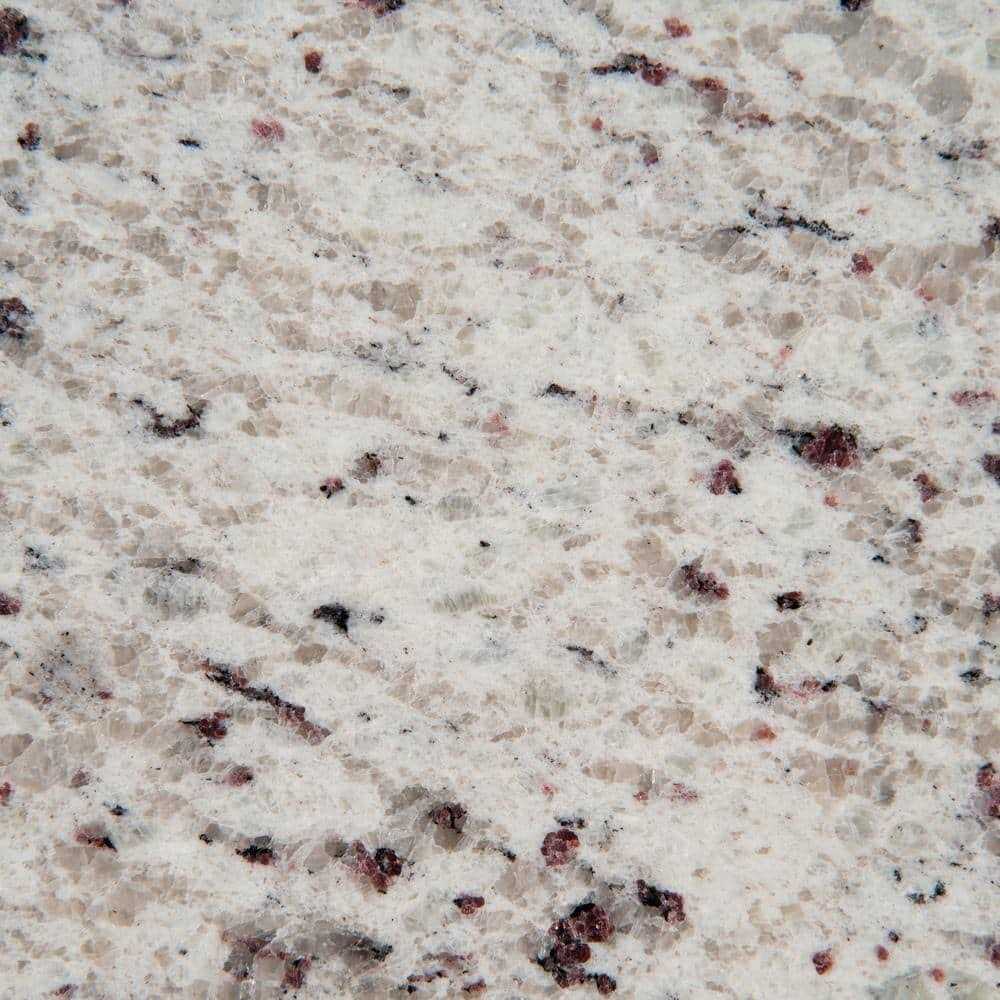 3 in. x 3 in. Granite Countertop Sample D279