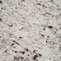 3 in. x 3 in. Granite Countertop Sample D279