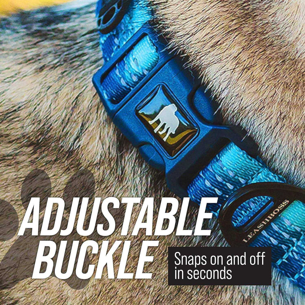 Patterned Fabric Martingale Dog Collar B335007