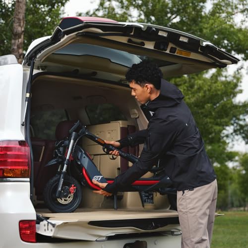 Electric Scooter, 24.9 MPH, 43.5-Mile Range, Dual Suspension, 1600W Peak Motor, Off-Road Scooter W161