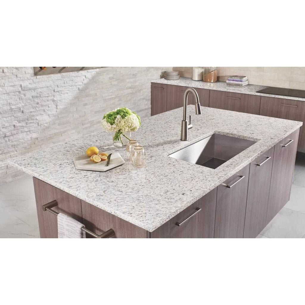 3 in. x 3 in. Granite Countertop Sample D279