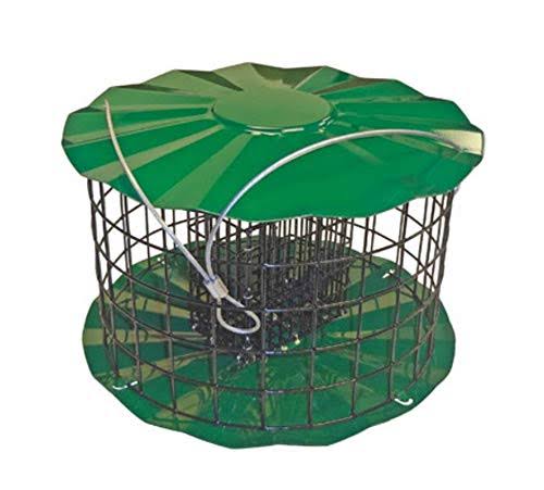 Double Suet Cake Feeder Green P248