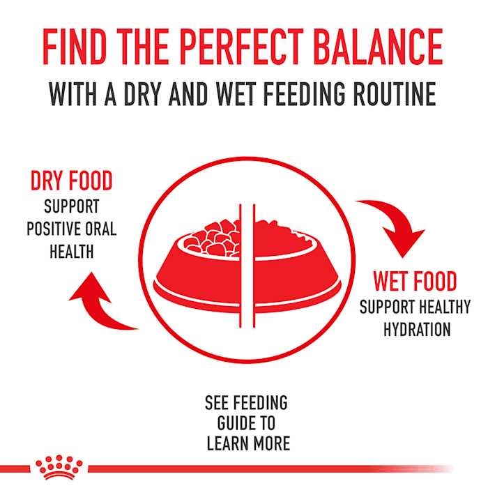 Maine Coon Dry Cat Food M4023