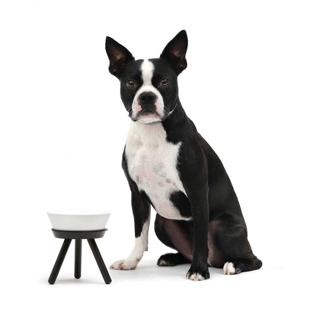 Pet Supplies L831