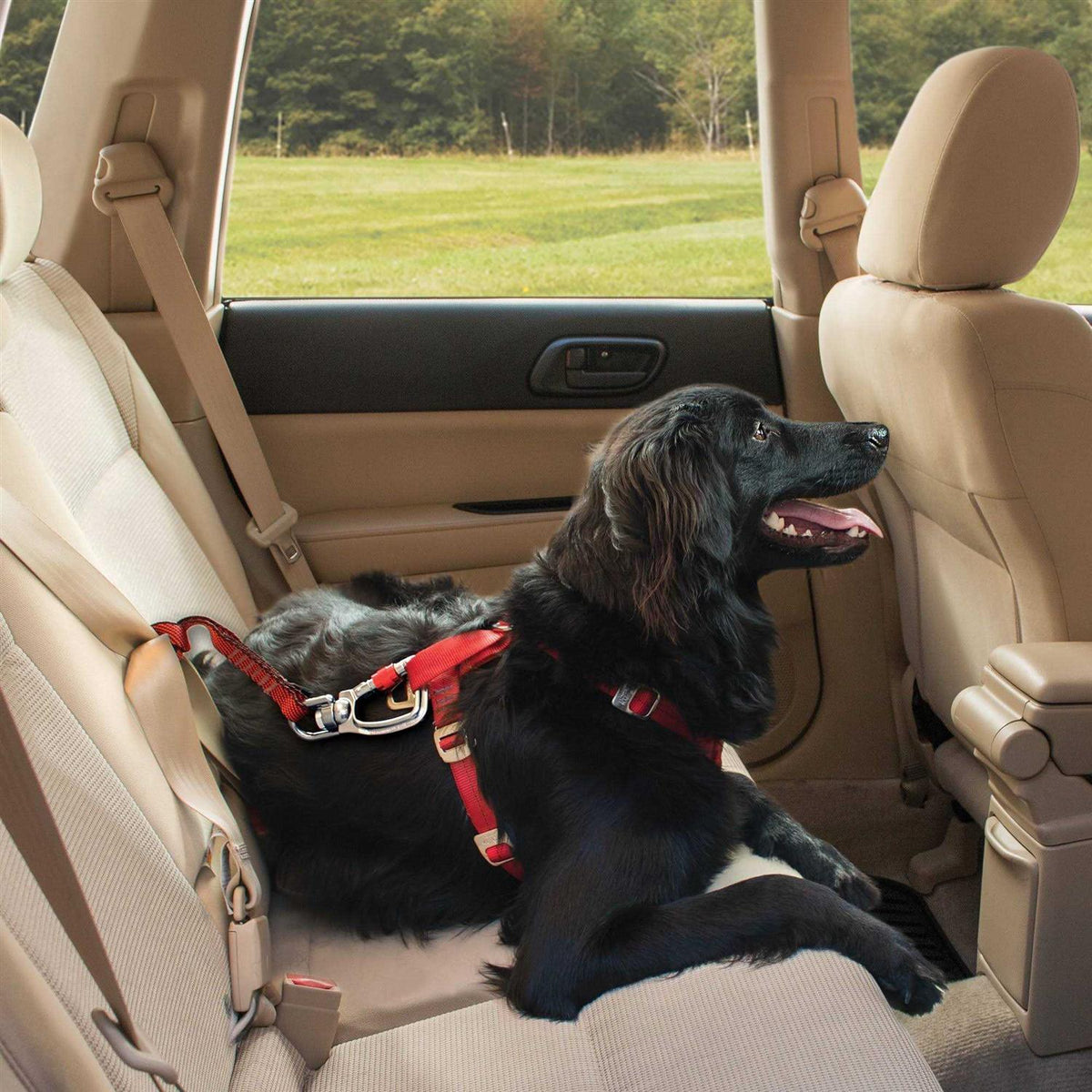 Dog Swivel Tether K14304