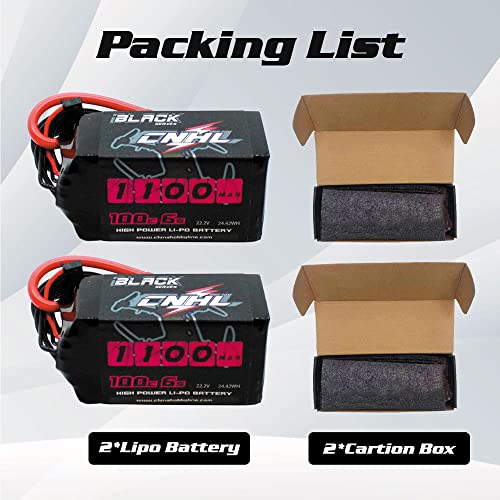 6S 1100mAh 100C 22.2V Lipo Battery with XT60 Plug (2 PCS) B638588