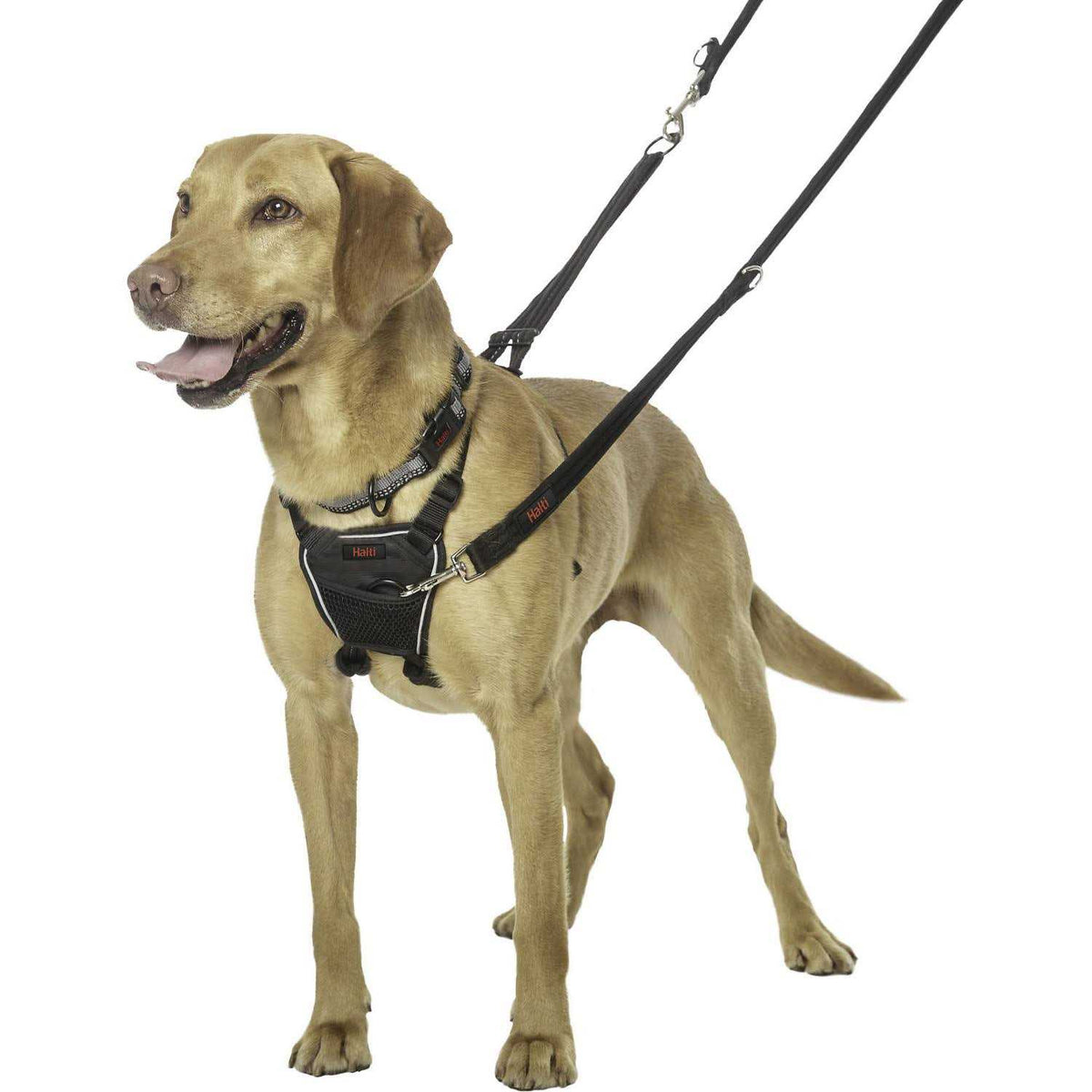 No Pull Harness O748