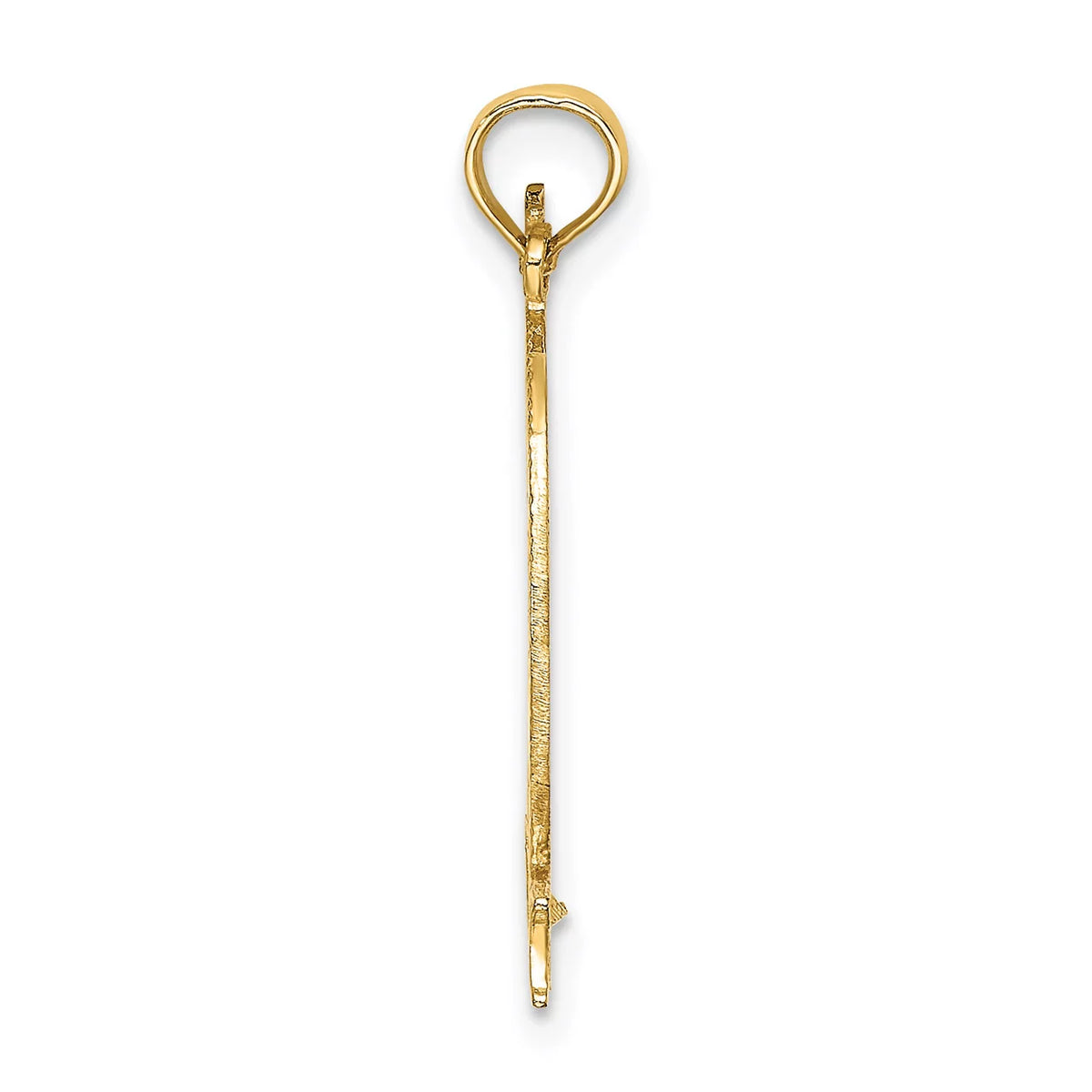 14K Yellow Gold Pendant Charm With 10K Rope Chain Necklace F810