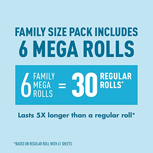 2-Ply Ultra-Soft Toilet Paper, 24 Family Mega Rolls, Unscented U84253