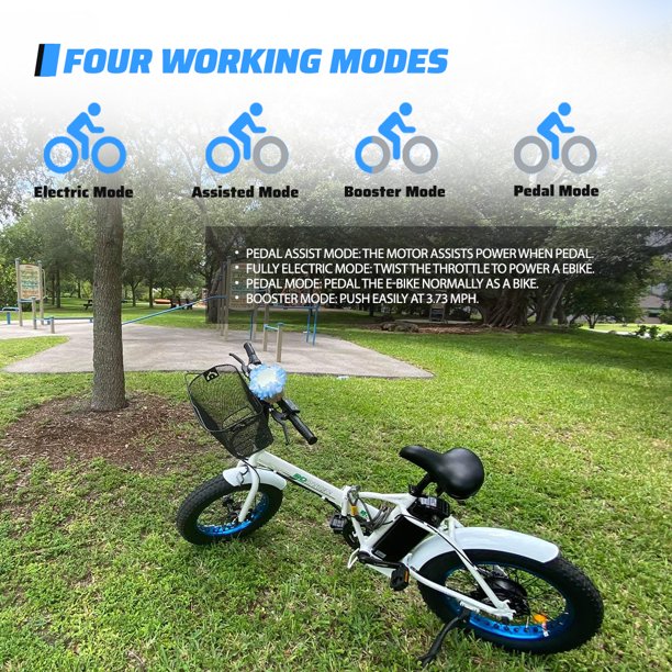 Fat Tire Electric Bike 20" Folding Bicycle 500W 36V Pedal Assist Electric Bicycle T5141