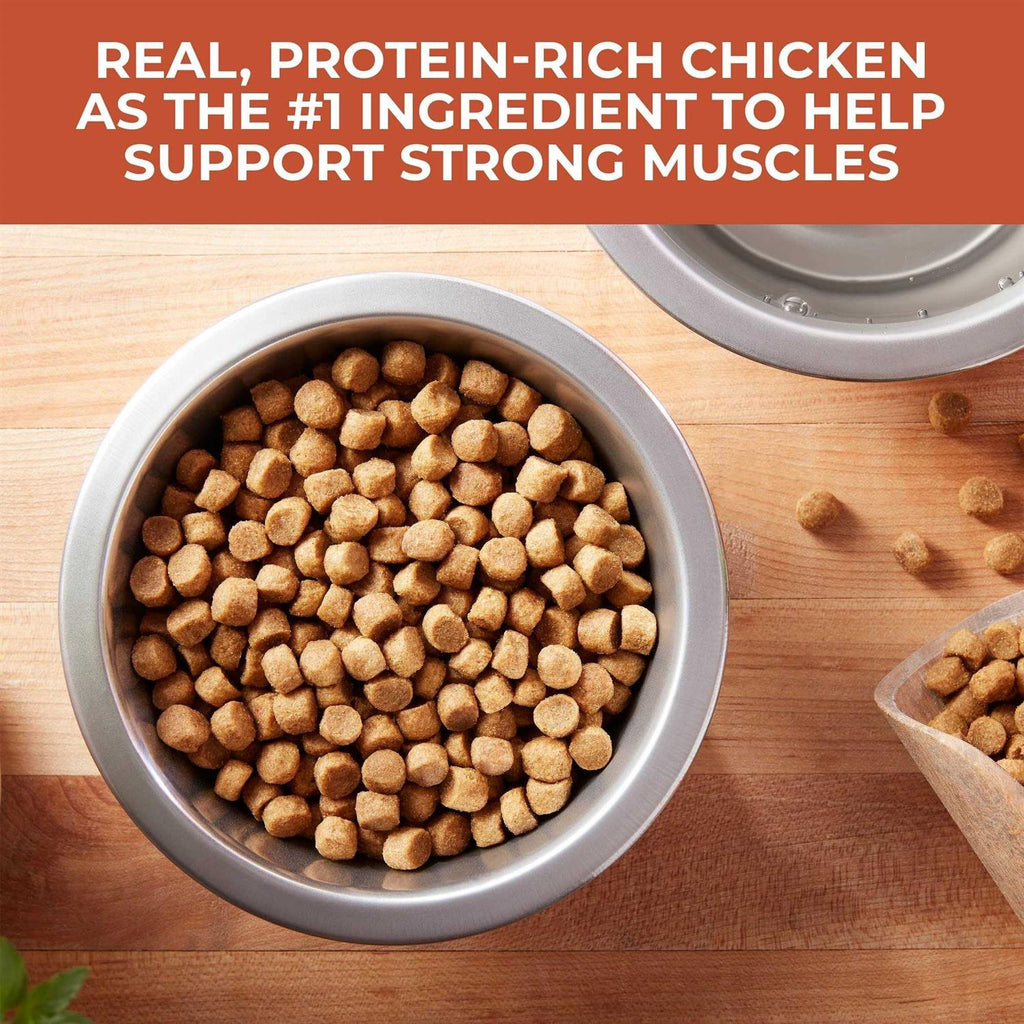 Chicken & Rice Dry Dog Food X194386