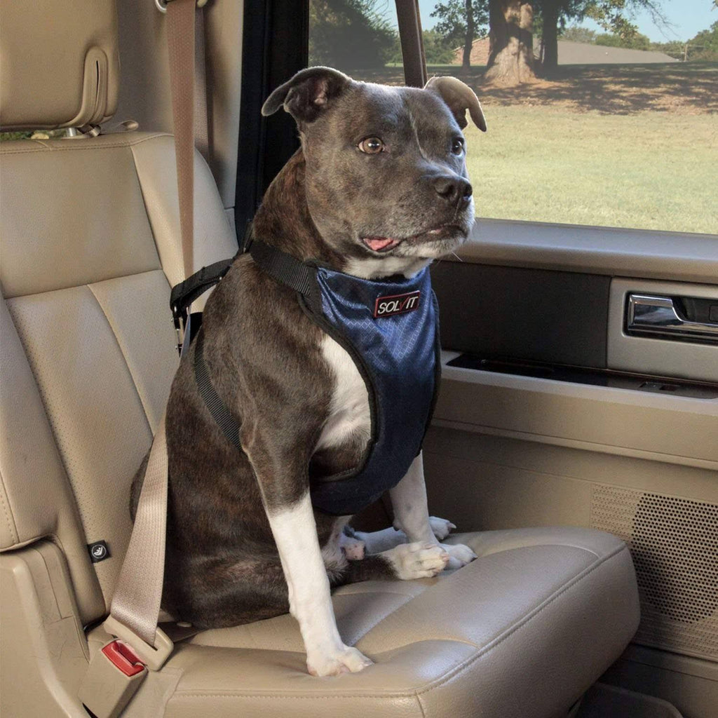 Deluxe Car Safety Harness Large Z986856