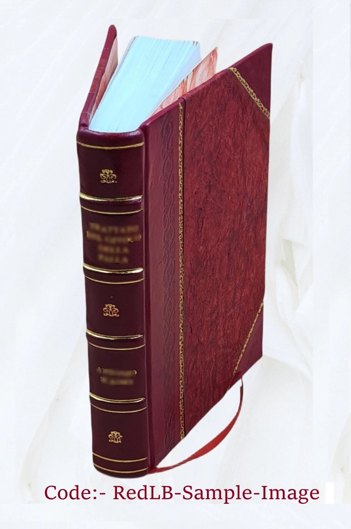 Evangelie in het licht van oude gegevens Leather Bound B92331