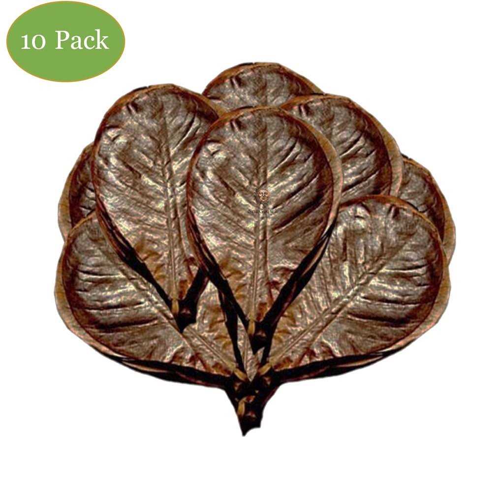 Hermit Crab & Snail Catappa Leaves J74074