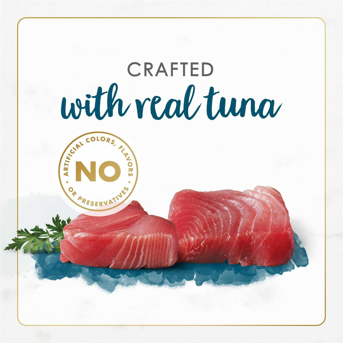 Tuna Recipe in Gravy Wet Cat Food E700