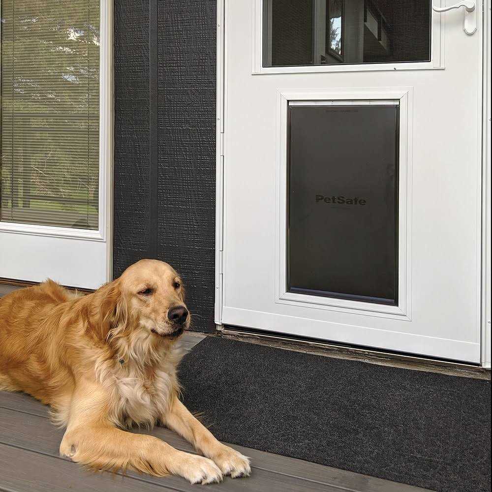 White High-view Wood Core Storm Door P34899