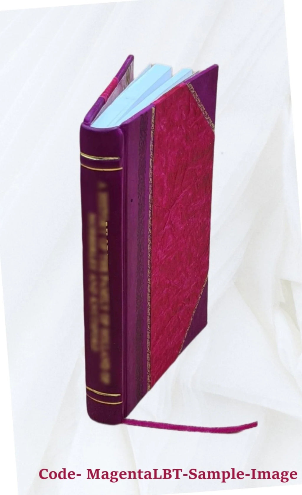 Leather Bound Book L352125