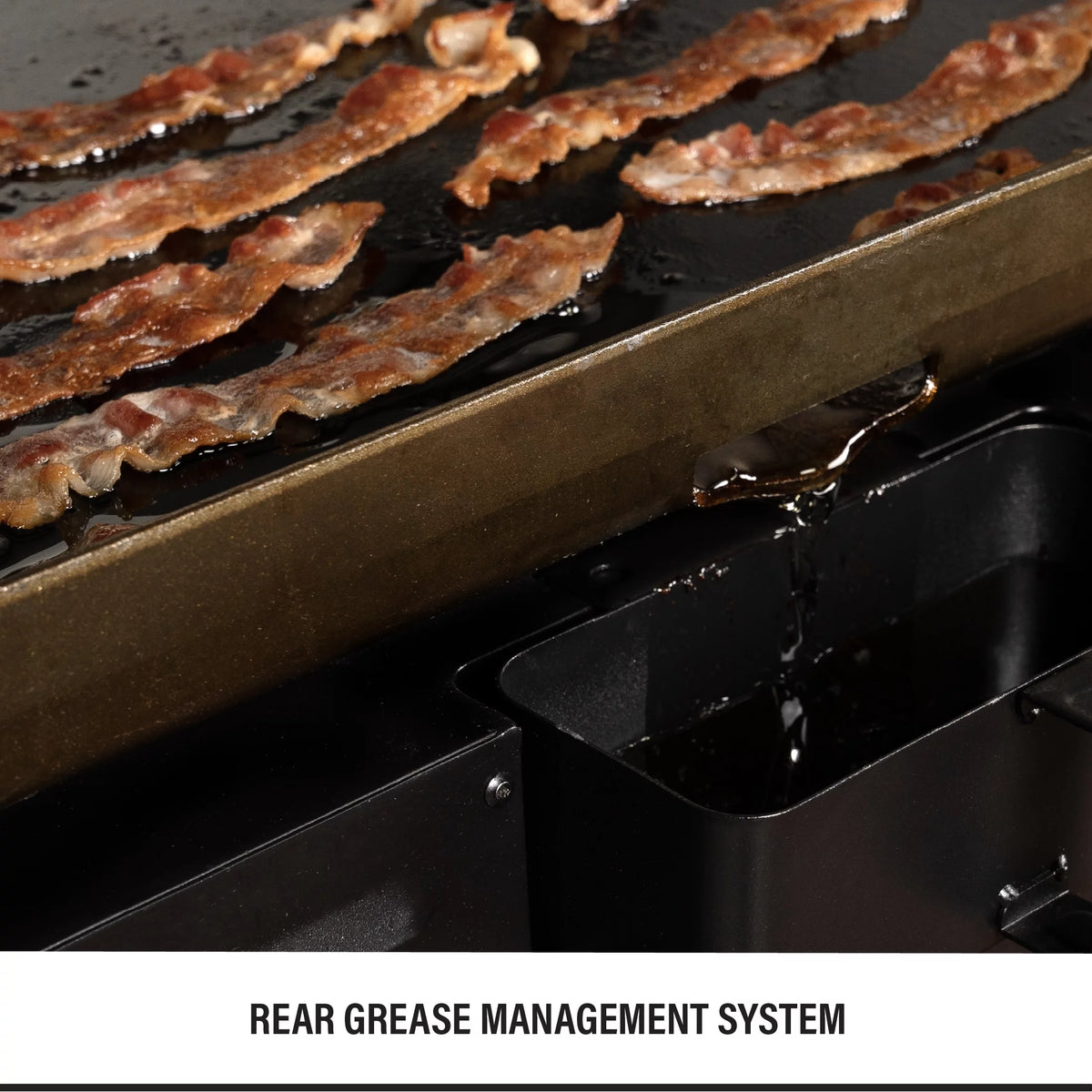 2-Burner 28 Propane Griddle with Foldable Legs Q3845