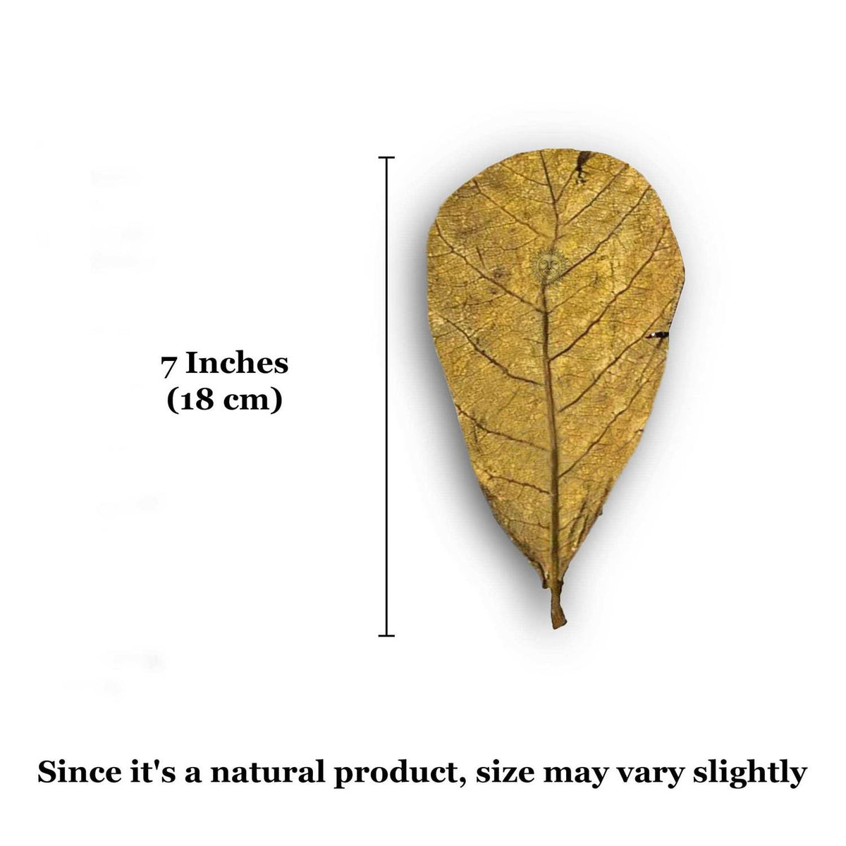 Hermit Crab & Snail Catappa Leaves J74074