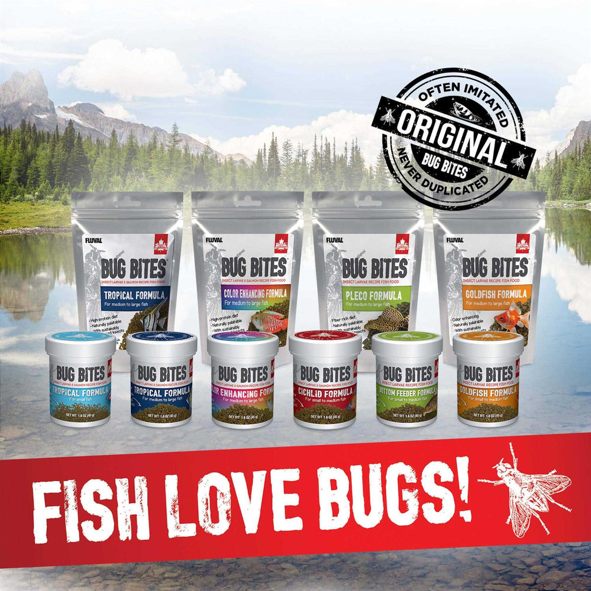 Bug Bites Cichlid I372