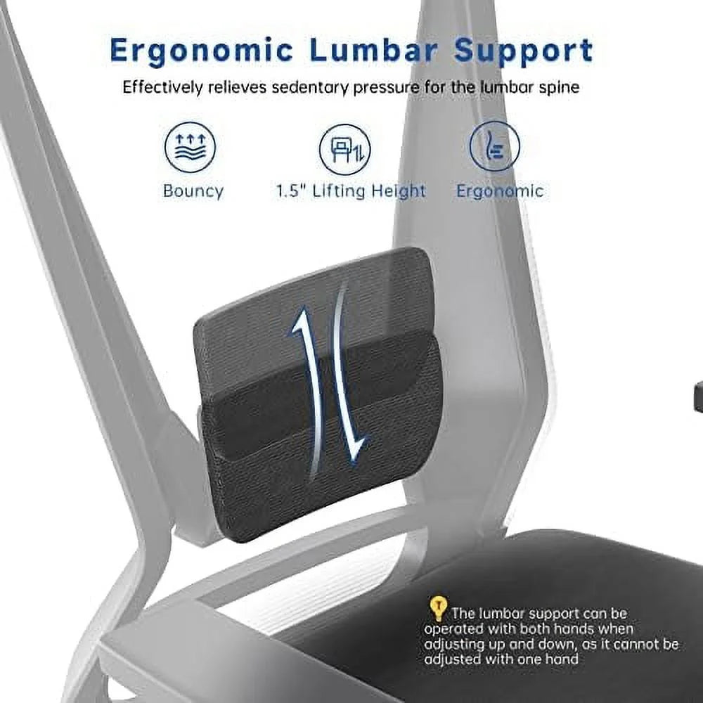Black Ergonomic Mesh Office Chair with Lumbar Support Y279