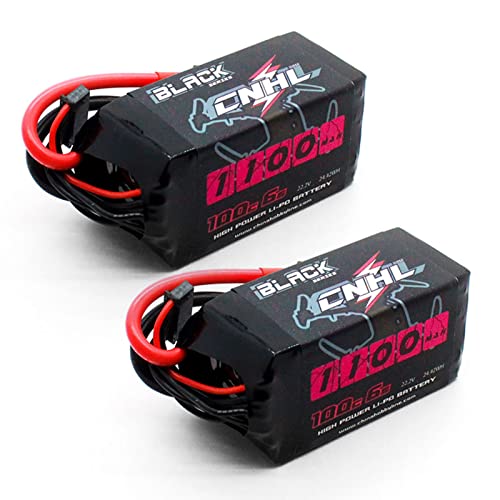 6S 1100mAh 100C 22.2V Lipo Battery with XT60 Plug (2 PCS) B638588