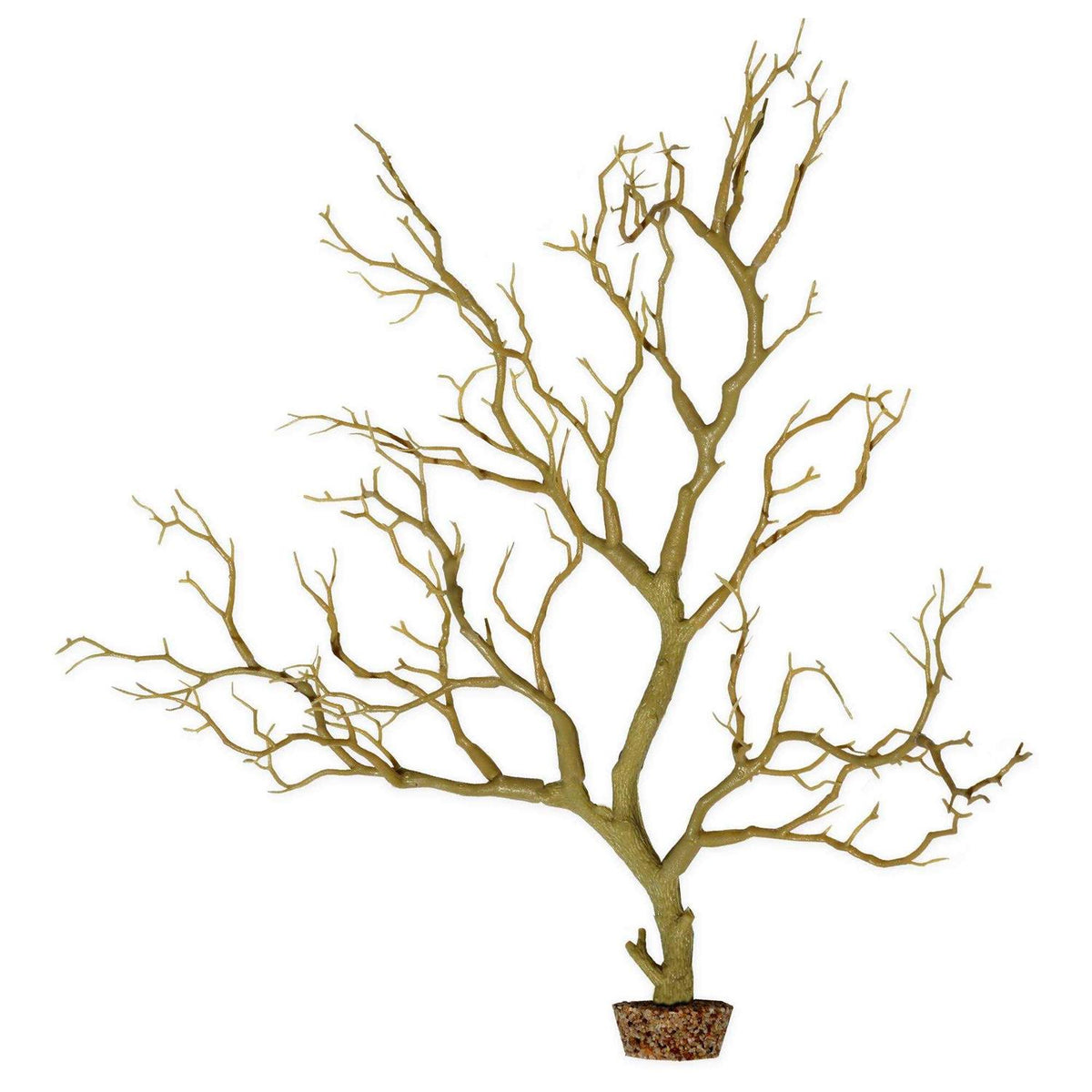 Manzanita Branch 22-inch Tall with Weighted Base V11691