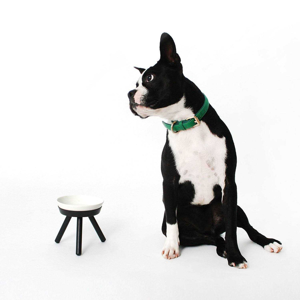 Pet Supplies L831