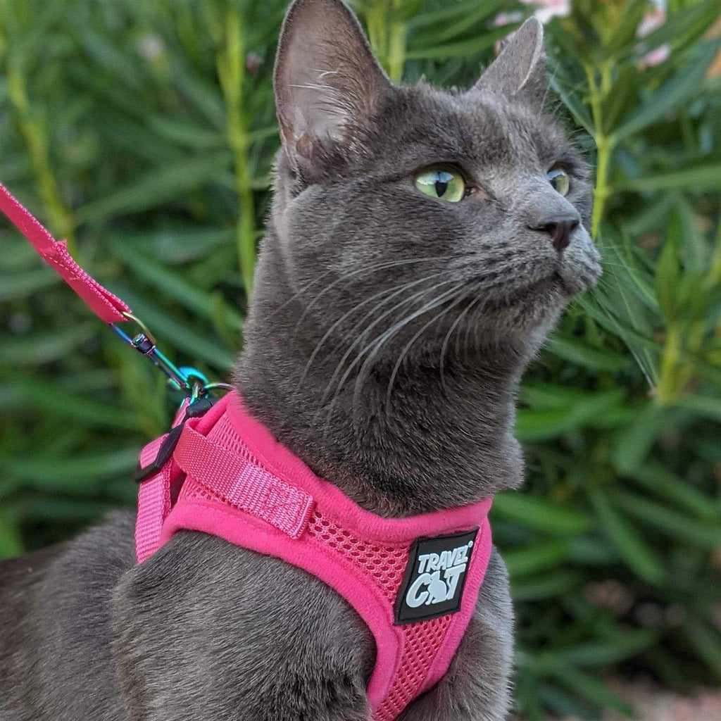 Reflective Cat & Kitten Harness and Leash Z4158