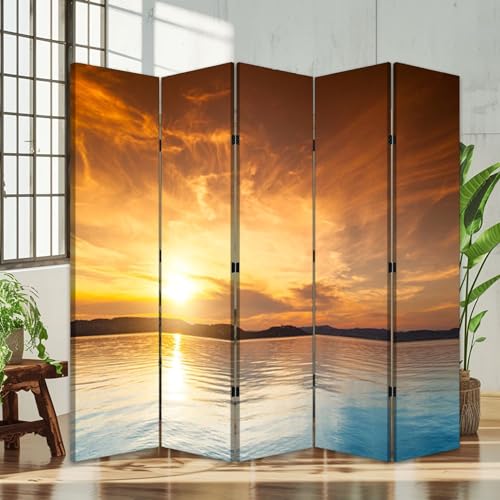 5 Panel Folding Screen Room Divider O57107