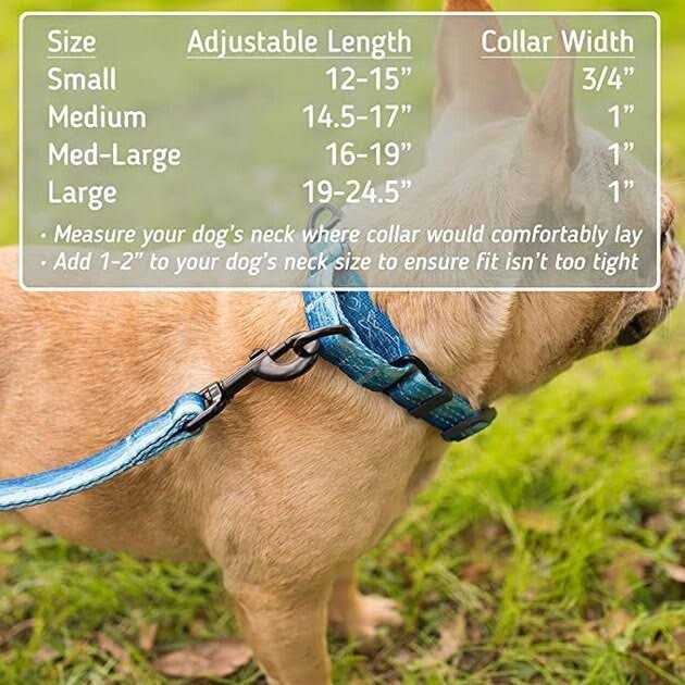 Patterned Fabric Martingale Dog Collar B335007