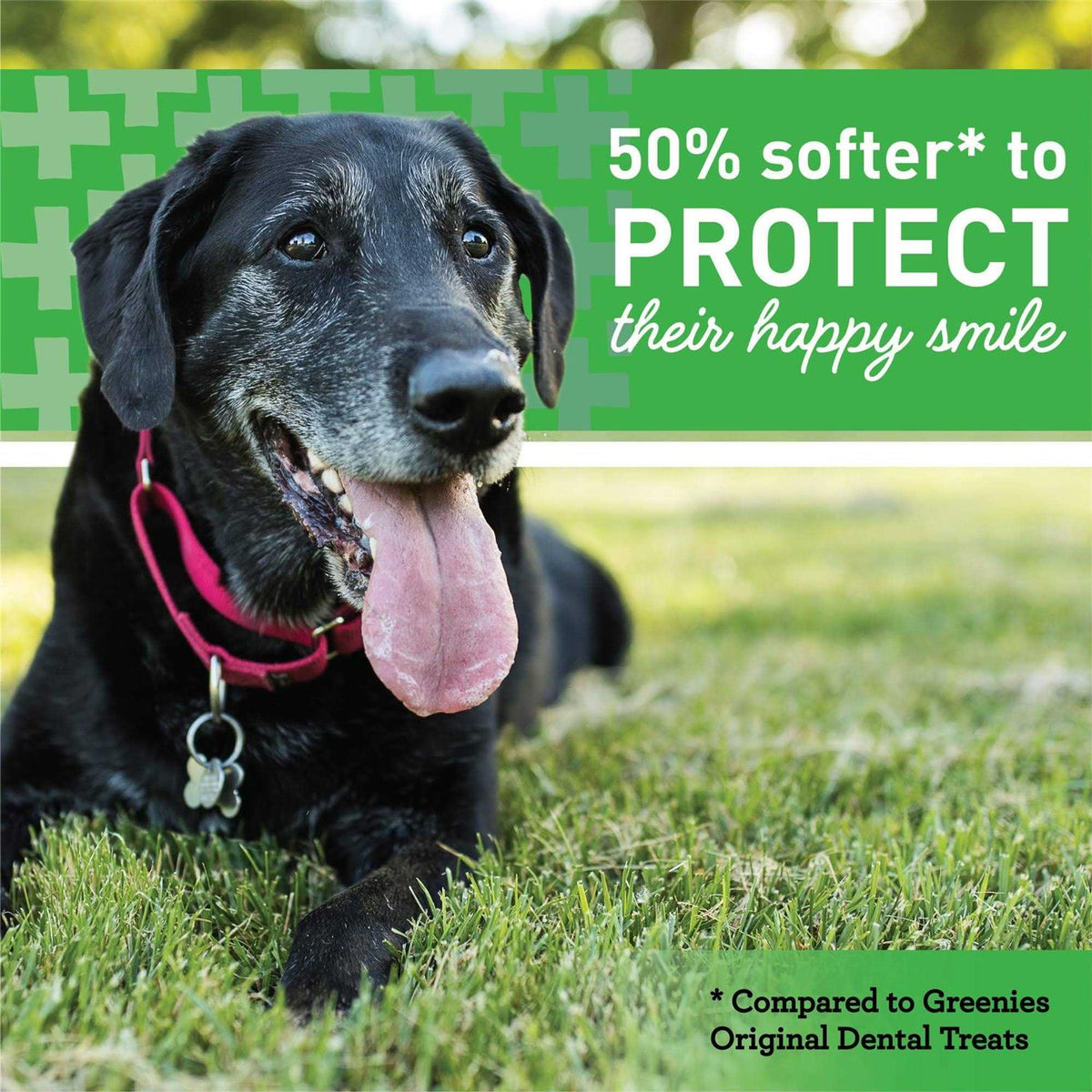 Dental Dog Treats F7033